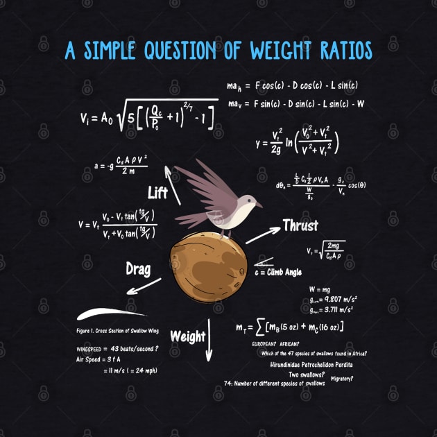 A Simple Question Of Weight Ratios Funny Math Teacher by TeddyTees